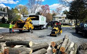 Best Tree Removal  in Grant Valkaria, FL