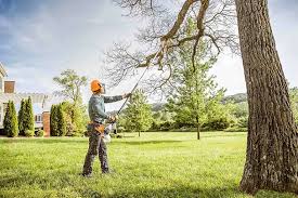 Best Tree and Shrub Care  in Grant Valkaria, FL